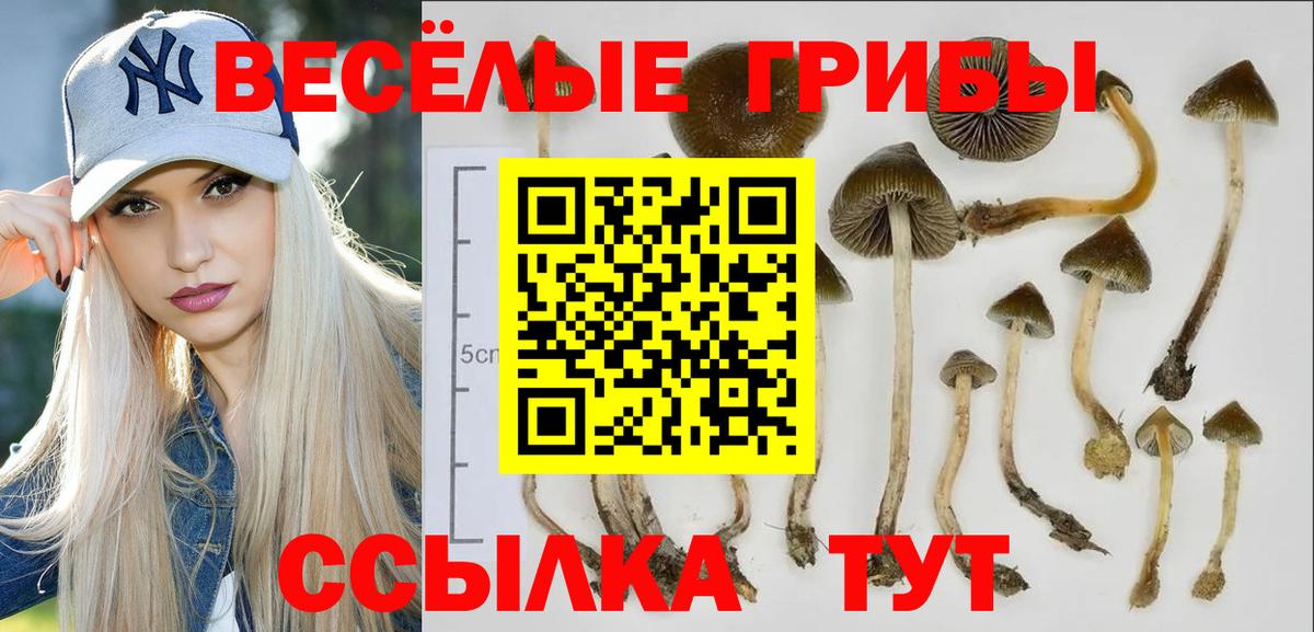 Галлюциногенные грибы Magic Shrooms  Галлюциногенные грибы Psilocybe  Вход с VPN  Лениногорск 